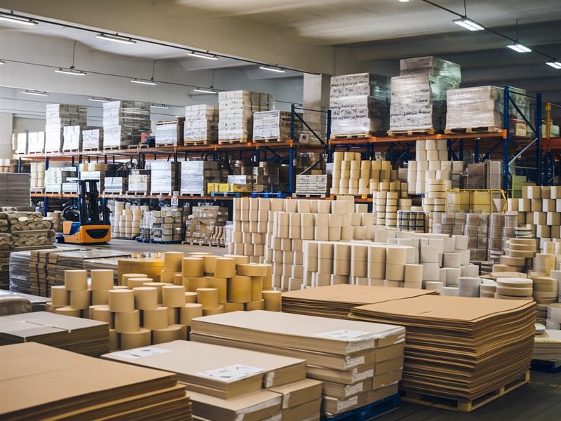 Shreenath Paper Products Limited IPO 