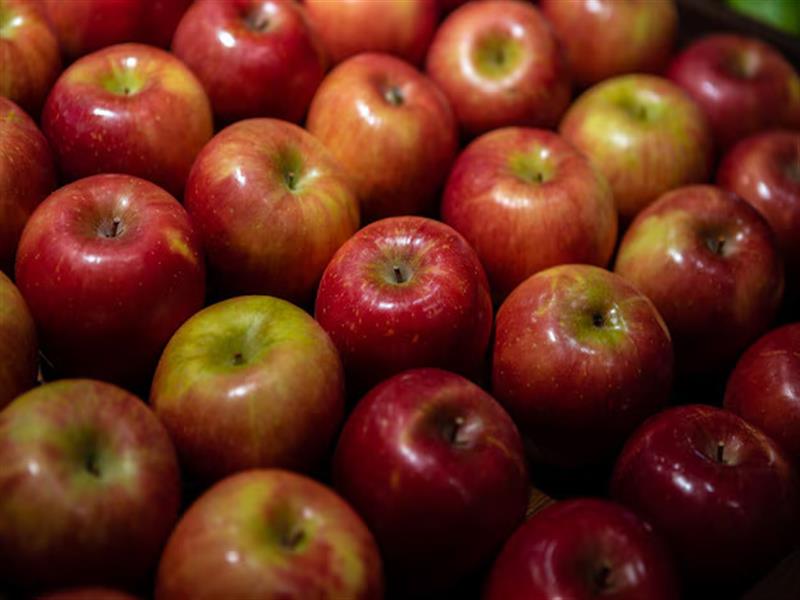 Apple BLog